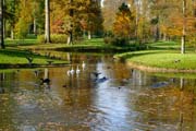 Der Fulwellpark im Herbst